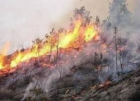 کنترل کامل آتش سوزی جنگل ها و مراتع در گچساران