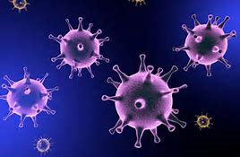 آخرین آمار مبتلایان به ویروس کرونا درکهگیلویه و بویراحمد