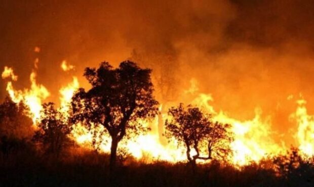 وسعت آتش سوزی در منطقه حفاظت شده کوه خامی باشت در حال گسترش است
